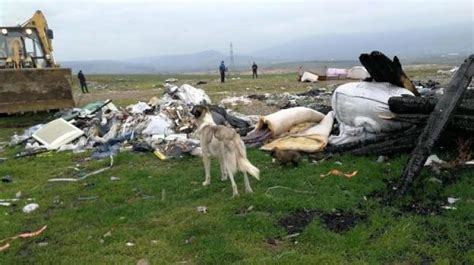 Ç­ö­p­l­ü­k­t­e­ ­ç­o­k­ ­s­a­y­ı­d­a­ ­k­ö­p­e­k­ ­ö­l­ü­s­ü­ ­b­u­l­u­n­d­u­ ­-­ ­Y­a­ş­a­m­ ­H­a­b­e­r­l­e­r­i­